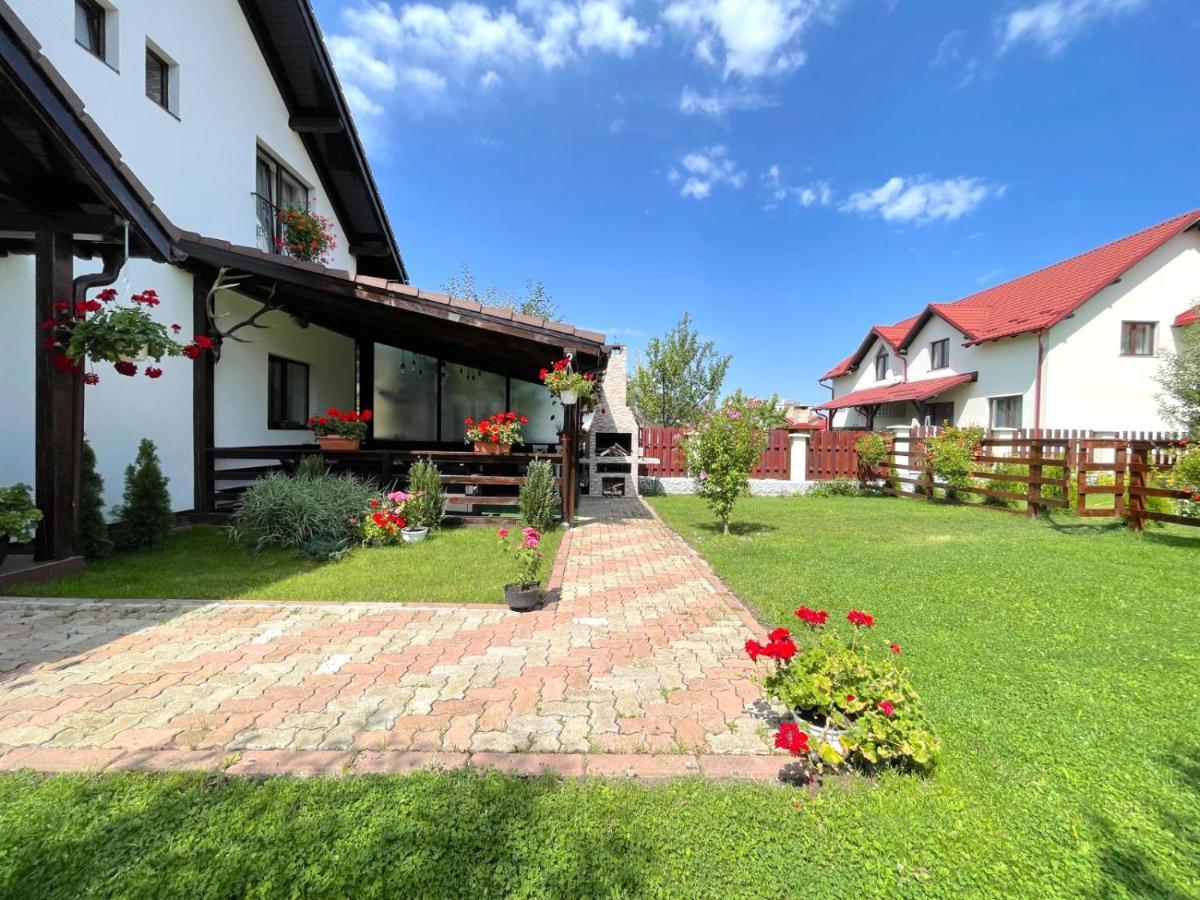 Vila Rolizo Брашов Экстерьер фото