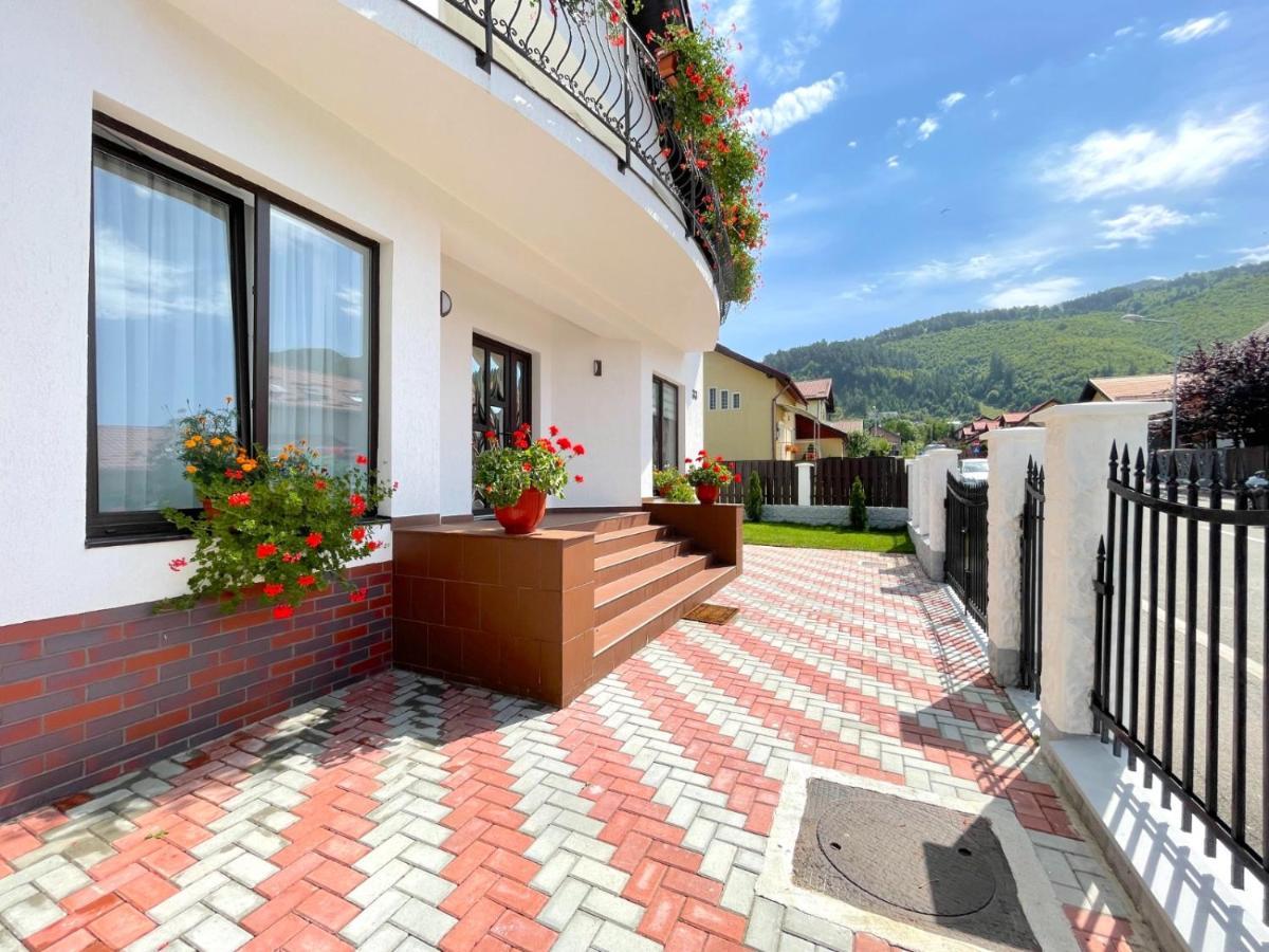 Vila Rolizo Брашов Экстерьер фото